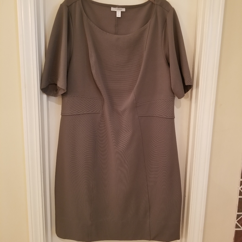 Dress Barn Dress